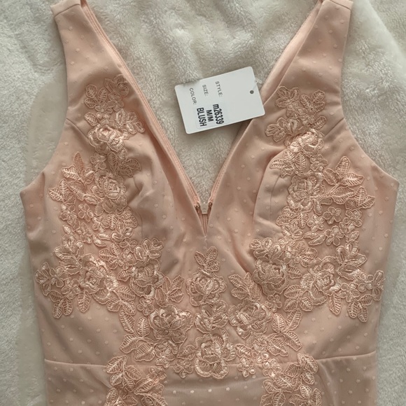 Lulus Ballroom Blush Lace Swiss Dot Maxi Dress - Picture 5 of 14